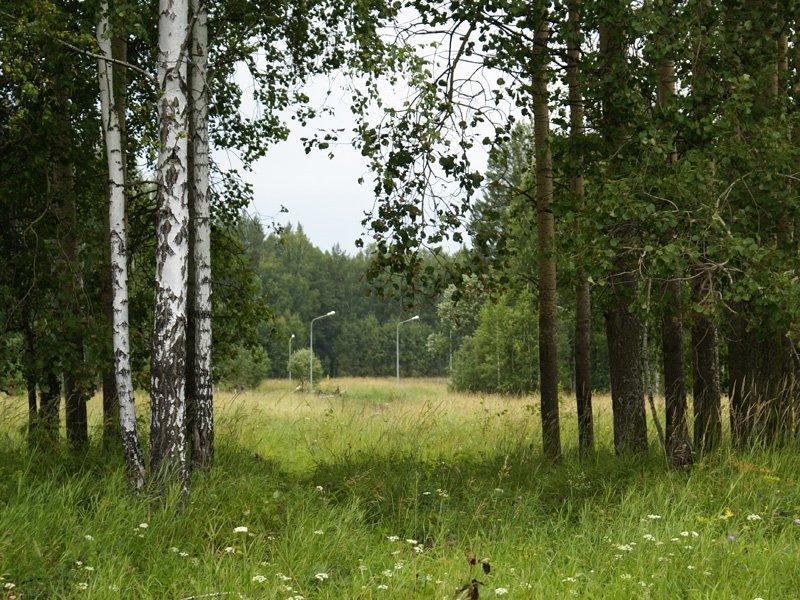 Оставшийся участок. Заповедный поселок Бузулук. Поселок заповедник фото. Тургенев парк коттеджный поселок Екатеринбург. КП Щелковский район заповедник парки.